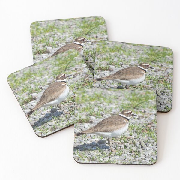 Item preview, Killdeer Out For a Walk designed and sold by BackyardBirder.