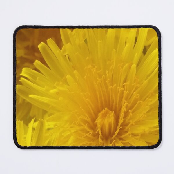 Item preview, Dandelion DP20170416d designed and sold by CSteenArt.