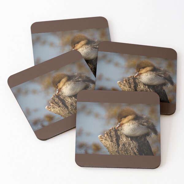 Item preview, Sleeping hooded merganser duckling designed and sold by Shannon Emmel .