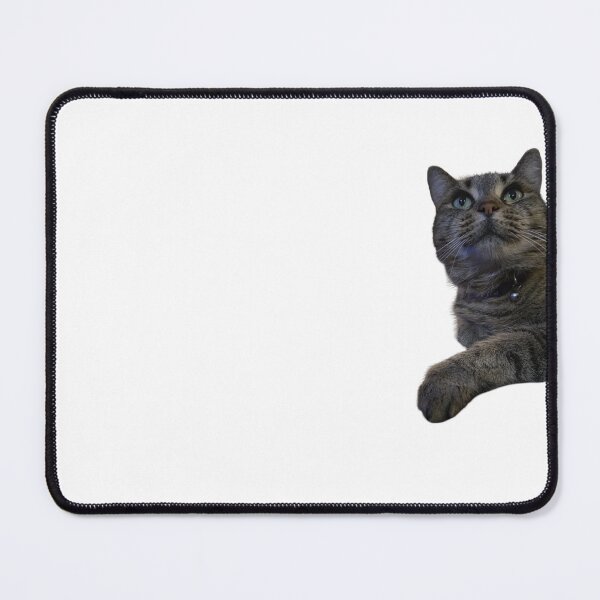 Item preview, A grey cat designed and sold by EVH-5150.