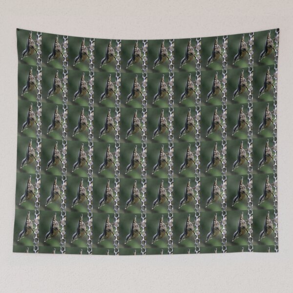 Item preview, nuthatch designed and sold by KathleenDawson.