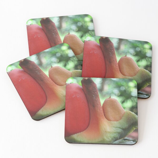 Item preview, Tropical discoveries designed and sold by RosJoy.