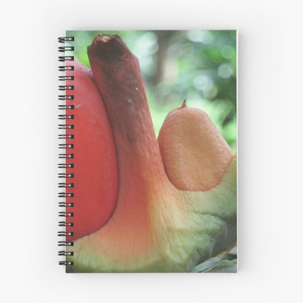 Item preview, Tropical discoveries designed and sold by RosJoy.