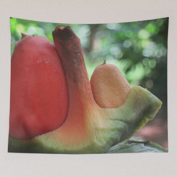 Item preview, Tropical discoveries designed and sold by RosJoy.