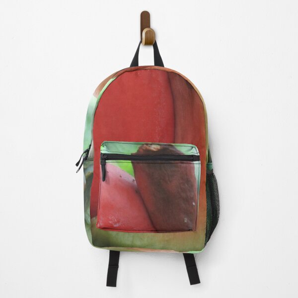 Item preview, Tropical discoveries designed and sold by RosJoy.