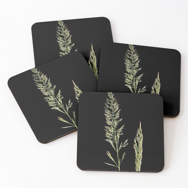 Item preview, Slim-stem small reed grass with black background designed and sold by Jouko Lehto Photography.