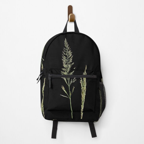 Item preview, Slim-stem small reed grass with black background designed and sold by Jouko Lehto Photography.