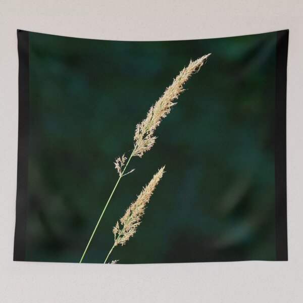 Item preview, Calamagrostis hay on dark green designed and sold by Jouko Lehto Photography.