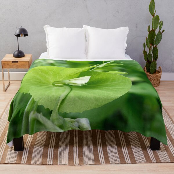 Item preview, Garden pea flower designed and sold by Jouko Lehto Photography.