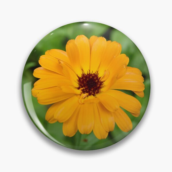 Item preview, Mary's gold in orange designed and sold by Jouko Lehto Photography.