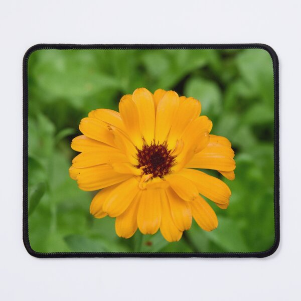 Item preview, Mary's gold in orange designed and sold by Jouko Lehto Photography.