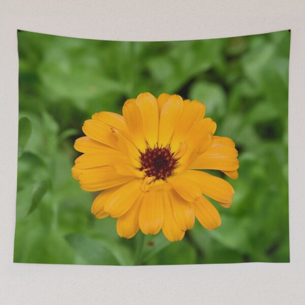 Item preview, Mary's gold in orange designed and sold by Jouko Lehto Photography.