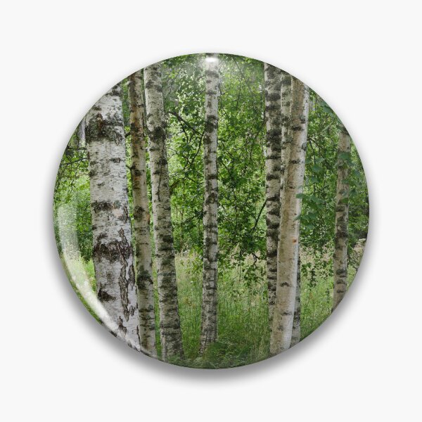 Artikelvorschau, Mein Zuhause Birken in Parkkuu entworfen und verkauft von Jouko Lehto Photography.