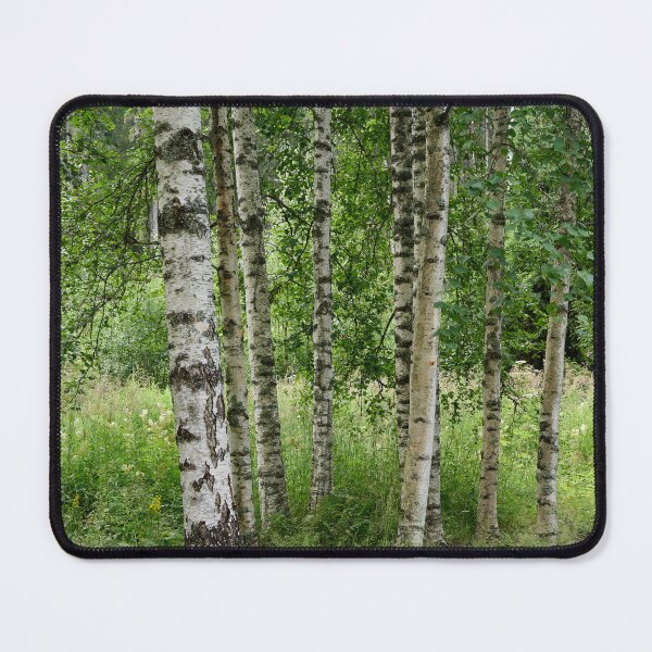 Item preview, My home Birches in Parkkuu designed and sold by Jouko Lehto Photography.