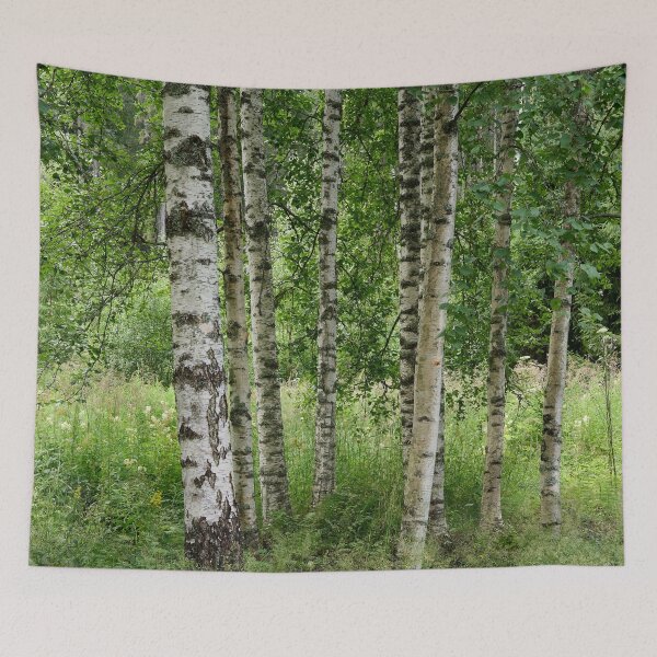 Item preview, My home Birches in Parkkuu designed and sold by Jouko Lehto Photography.