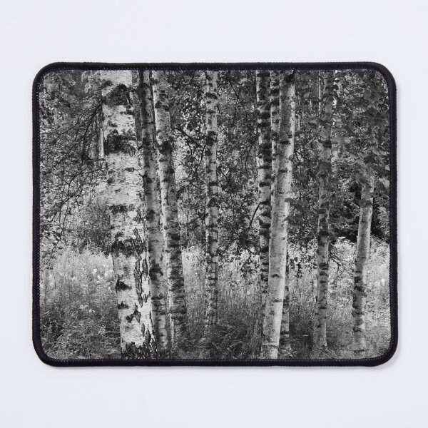 Item preview, My home Birches bw in Parkkuu designed and sold by Jouko Lehto Photography.