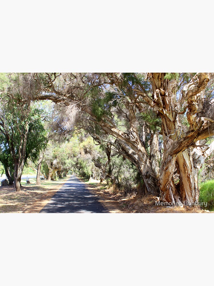 "Cathedral Avenue, Australind" Sticker for Sale by MegsieBunbury