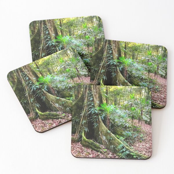 Item preview, Exploring Rainforest Trees   designed and sold by Swim The Tropics.