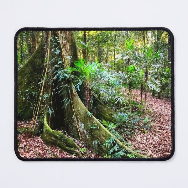 Item preview, Exploring Rainforest Trees   designed and sold by Swim The Tropics.