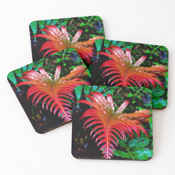 Item preview, New beginnings of life designed and sold by Swim The Tropics.