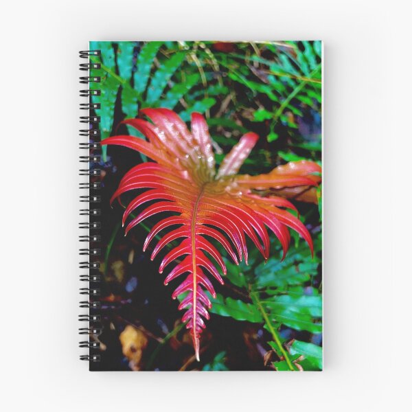 Item preview, New beginnings of life designed and sold by Swim The Tropics.
