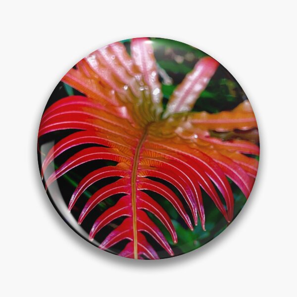 Item preview, New beginnings of life designed and sold by Swim The Tropics.