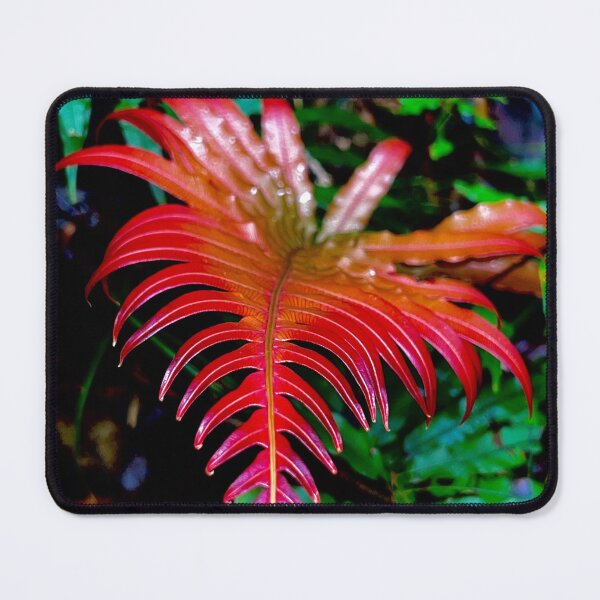 Item preview, New beginnings of life designed and sold by Swim The Tropics.