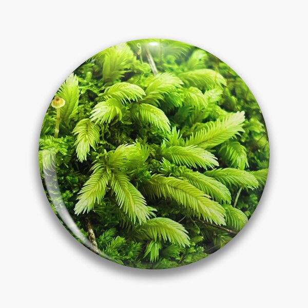 Item preview, Moss and mushroom designed and sold by Swim The Tropics.