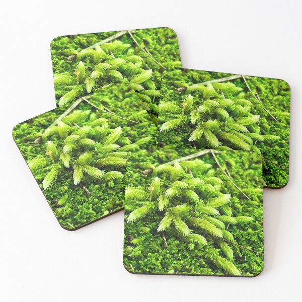 Item preview, Moss and mushroom designed and sold by Swim The Tropics.