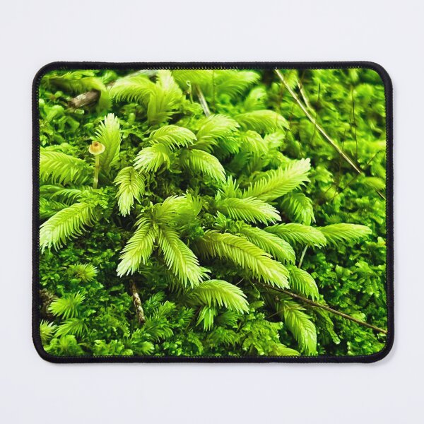 Item preview, Moss and mushroom designed and sold by Swim The Tropics.