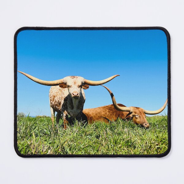 Item preview, Texas long horns designed and sold by Swim The Tropics.