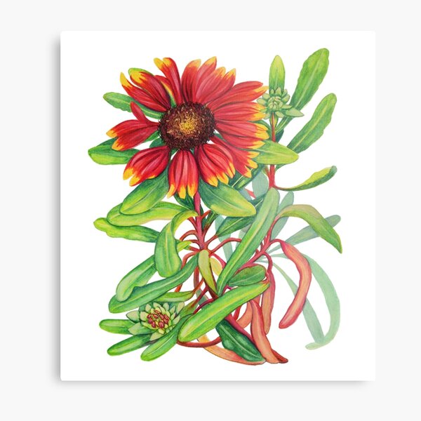 Item preview, Sunset Daisy designed and sold by marlene veronique holdsworth.