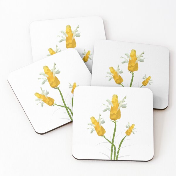 Item preview, vector illustration of yellow flowers Pachystachys lutea, golden shrimp plant or lollipop plant. designed and sold by MiMee4451.