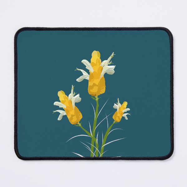 Item preview, vector illustration of yellow flowers Pachystachys lutea, golden shrimp plant or lollipop plant. designed and sold by MiMee4451.