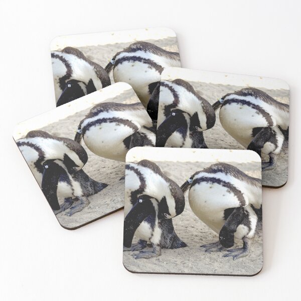 Item preview, 2 African penguin wash at the same moment designed and sold by oniadragon.