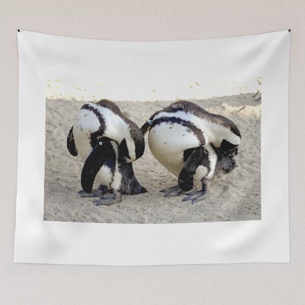 Item preview, 2 African penguin wash at the same moment designed and sold by oniadragon.