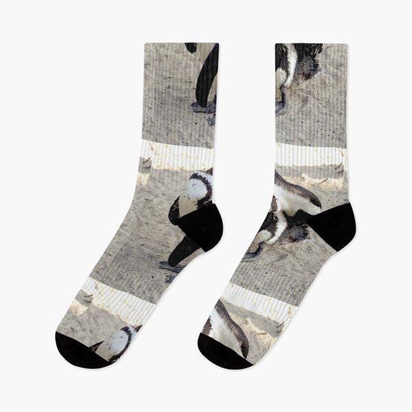 Item preview, 2 African penguin wash at the same moment designed and sold by oniadragon.