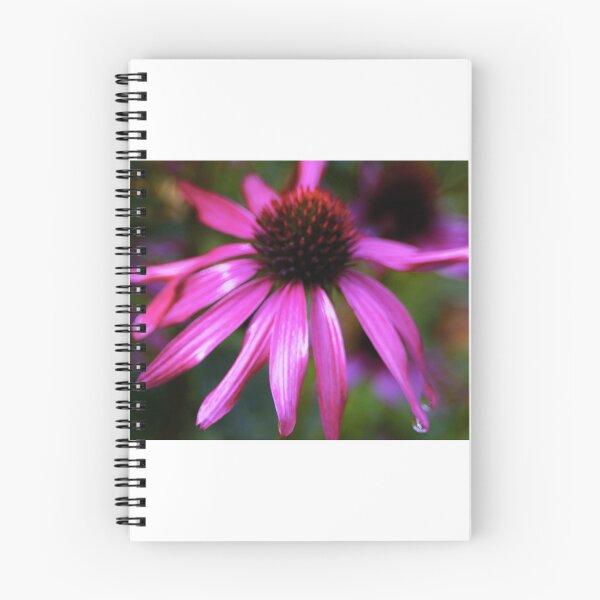 Item preview, purple coneflower with water drops designed and sold by oniadragon.