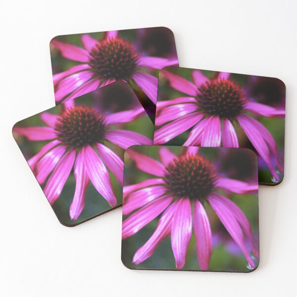 Item preview, purple coneflower with water drops designed and sold by oniadragon.