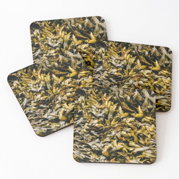 Item preview, Seaweed Coastal Nature Texture Port Angeles, Washington designed and sold by Wall Love.