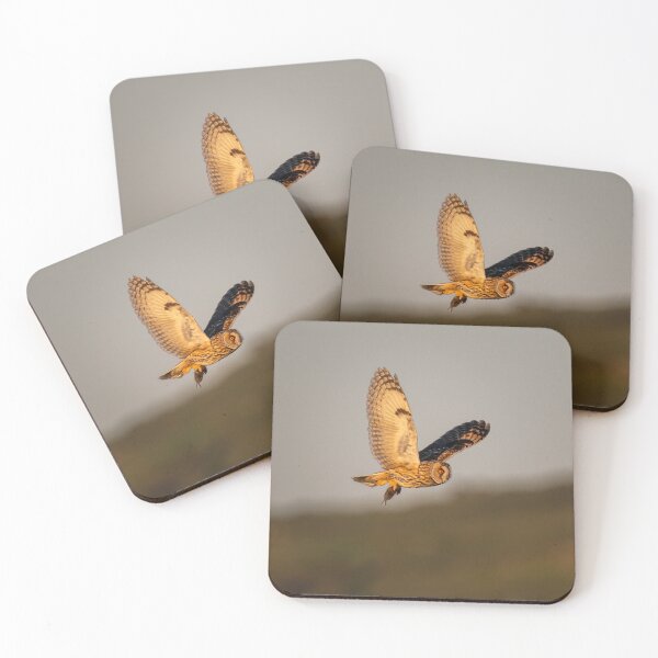Item preview, Short Eared Owl in Golden Light designed and sold by CEastwoodPhotos.