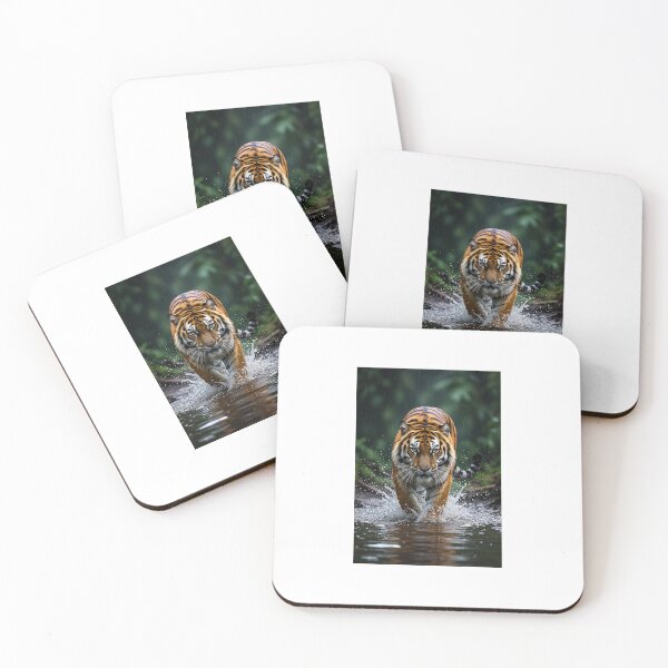 Item preview, Tiger designed and sold by EVH-5150.