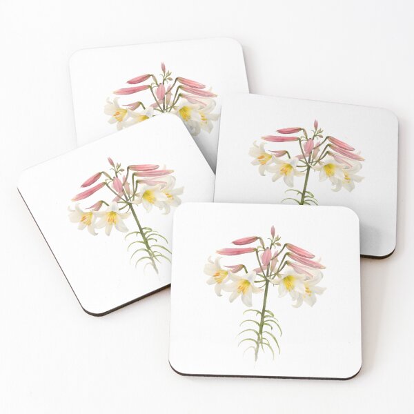 Item preview, Regal Lily (Lilium regale) designed and sold by HOMETOWN86.
