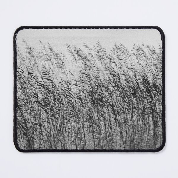 Item preview, Uist Reeds designed and sold by David Bowman.