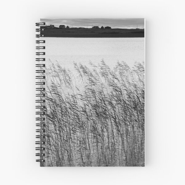 Item preview, Uist Reeds designed and sold by David Bowman.