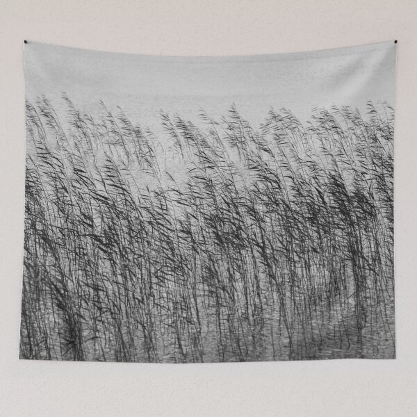 Item preview, Uist Reeds designed and sold by David Bowman.