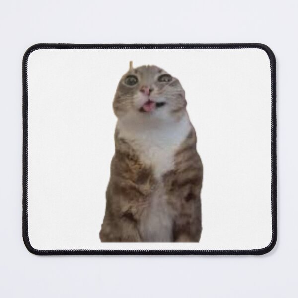 Artikelvorschau, Rigby-Katzen-Meme entworfen und verkauft von tea-rex23.