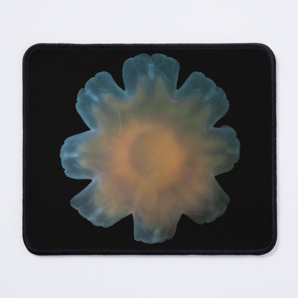Item preview, Symmetry of the Sea designed and sold by SalishSeascapes.