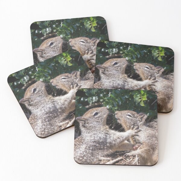 Item preview, Squirrel Love designed and sold by CarolM.