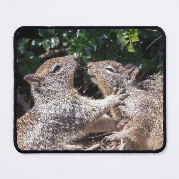 Item preview, Squirrel Love designed and sold by CarolM.